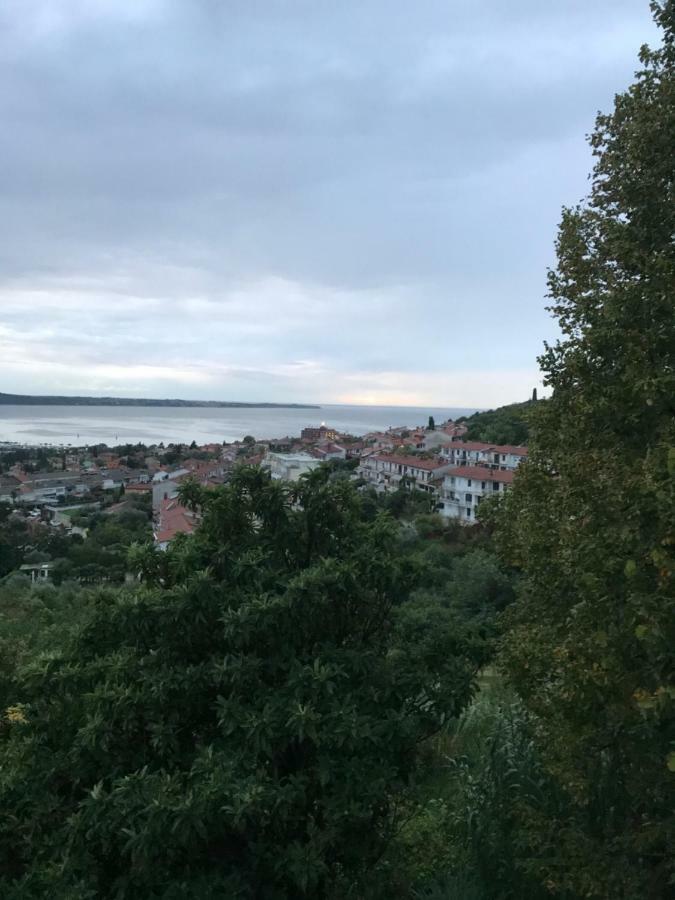 Milena Apartment Portoroz Luaran gambar